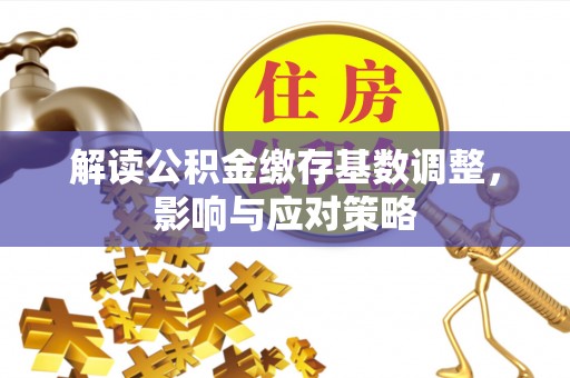 墨玉解读公积金缴存基数调整，影响与应对策略