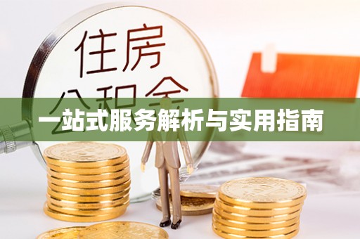 墨玉一站式服务解析与实用指南