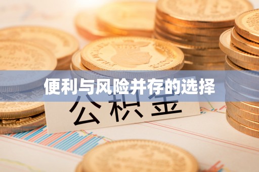 墨玉便利与风险并存的选择