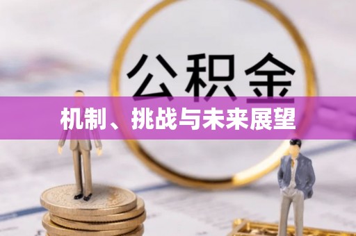 墨玉机制、挑战与未来展望