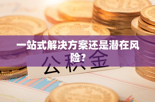 墨玉一站式解决方案还是潜在风险？
