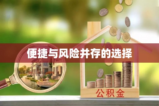 墨玉便捷与风险并存的选择
